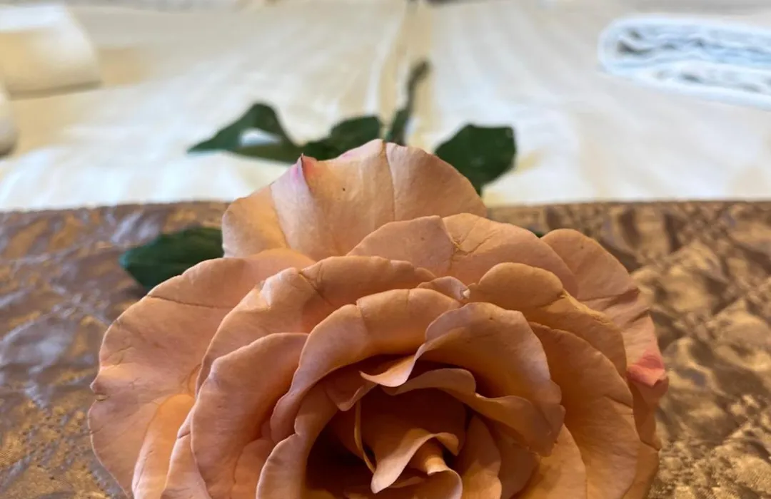 Hotel Rose City-1